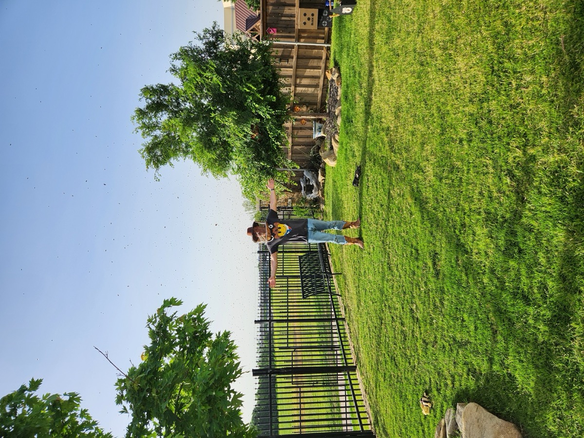 Wranglers and homeowners gathered in a backyard for a bee removal job.