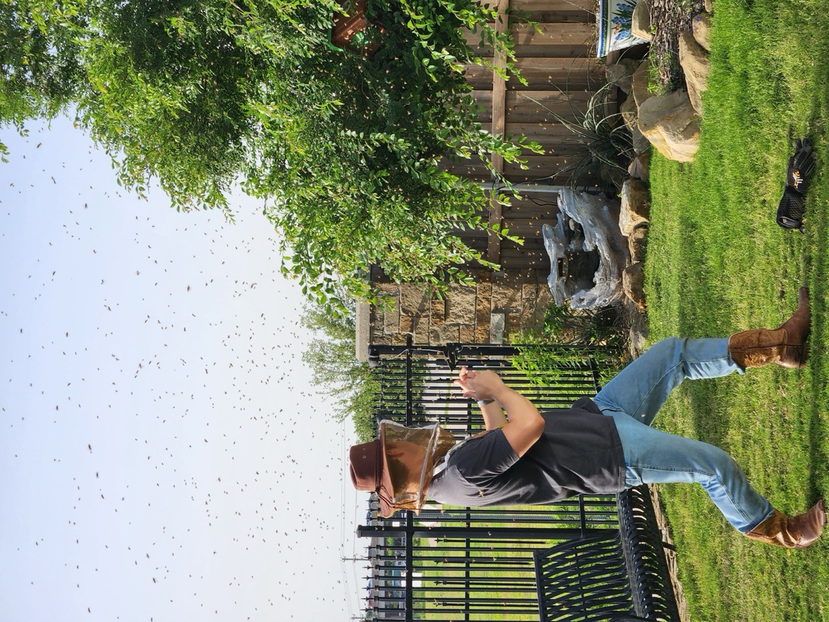Close detail of the wrangler working a hive during a relocation.