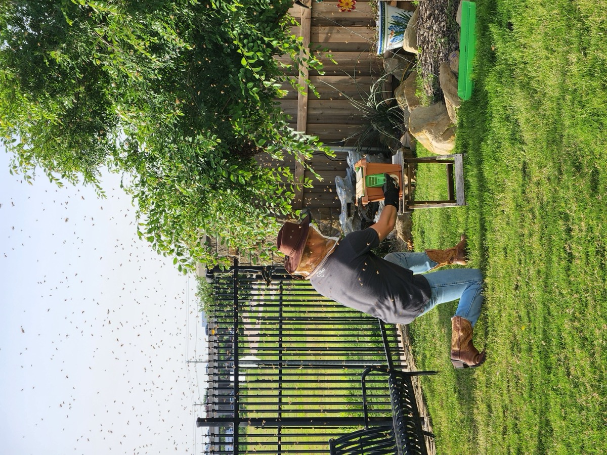 Hive boxes on a wooden pallet, a wrangler kneeling.