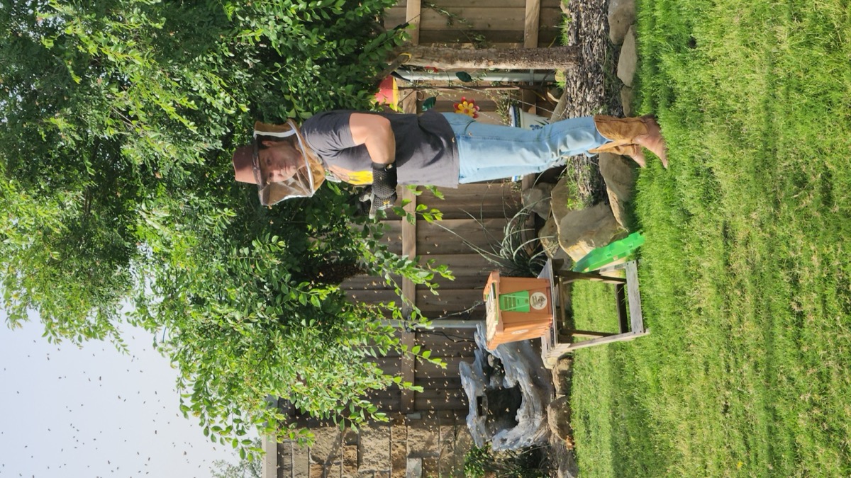 Bee removal in progress — working the hive boxes.