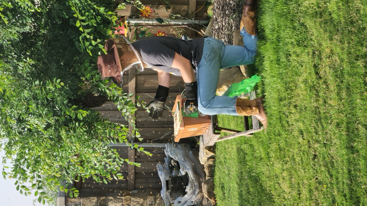 Wrap-up stages of the removal.